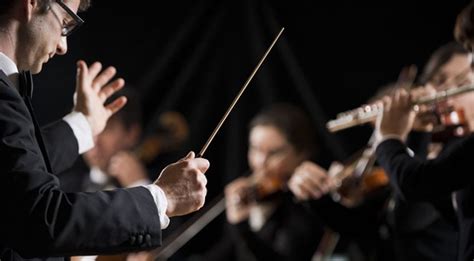 what is a music director and how does it relate to the concept of harmony in a symphony orchestra?